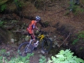 DSCN5186