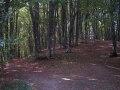 alpe della luna 064