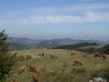 alpe della luna 072