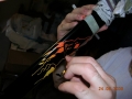 DSCN3564