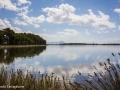 Lago di Fogliano: lungolago
