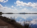Lago di Fogliano: lungolago