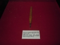 dscn1900800x600