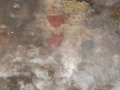 dscn7383