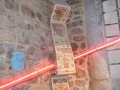 dscn7461