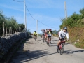 normamtb033