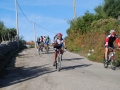 normamtb034