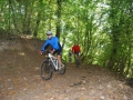 normamtb080