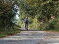 normamtb125