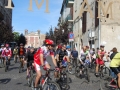 normamtb162