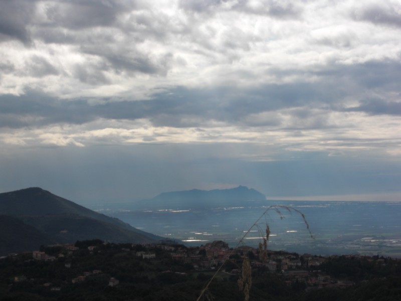 cimg0545-800x600