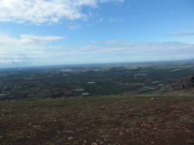 cimg0561-800x600