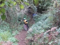 cimg0523-800x600