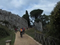 cimg0555-800x600