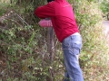 dscn6949-800x600