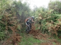 cimg0950800x600