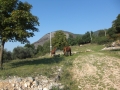 cimg0336-800x600