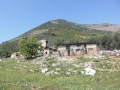 cimg0393-800x600
