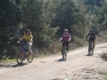roccas-80-800x600