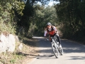 roccas-91-800x600