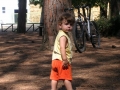 dscn6448-800x600