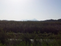 20121021_103429