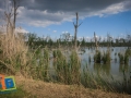 IMG_8937