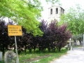 DSCN4608