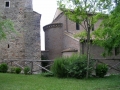 DSCN4617