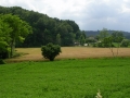 DSCN4624