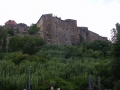 DSCN4634