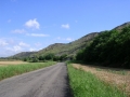 DSCN4669