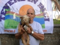 Partecipanti Tib 2008