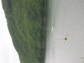 DSCN2957