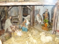 dsc01128-800x600
