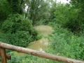 dsc01173-800x600