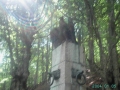 pict1110-800x600