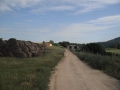 1-36-800x600