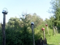 601364_10150942484574259_914446476_n