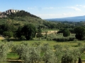 Giorno 2 - 1 Giugno