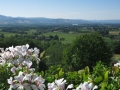 Giorno 3 - 2 Giugno