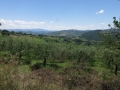 Giorno 3 - 2 Giugno