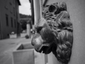 Image_124