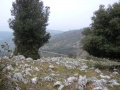 dscn0261800x600