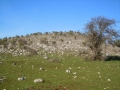 dscn1921800x600