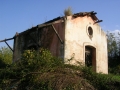 dscn8575-800x600
