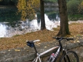 dscn8584-800x600