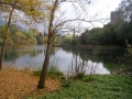 dscn8587-800x600