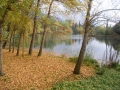 dscn8588-800x600