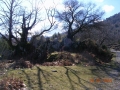 DSCN3202